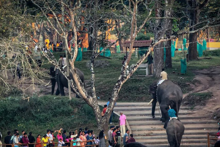 Dubare Elephant Camp