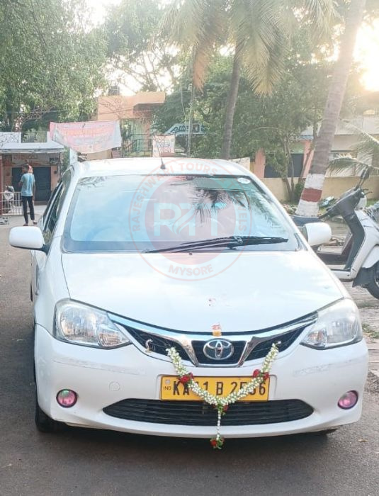 Untitled design (96)