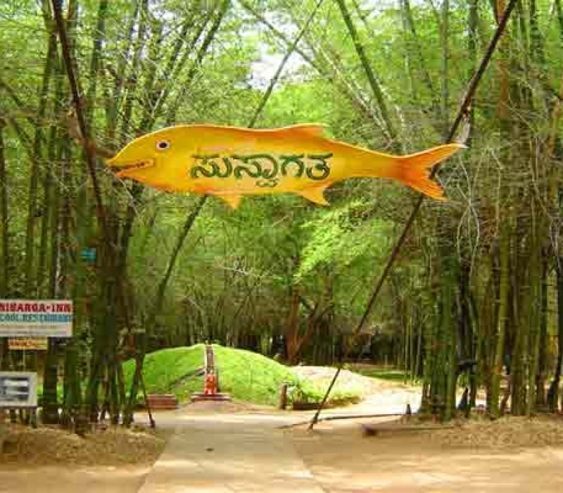 nisargadhama-forest-park-coorg-sightseeing-tour